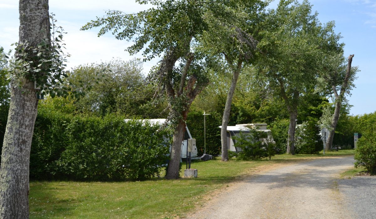DSC_0395
